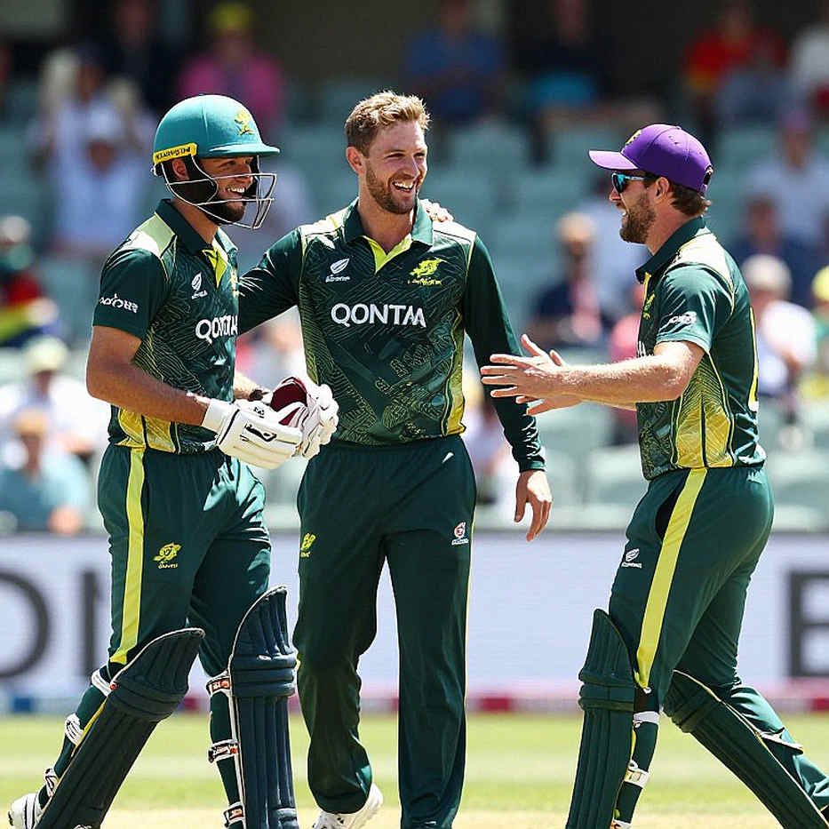 Zero Information Points: When the Cricket Data Pipeline Goes Silent